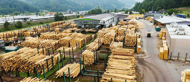 A 250 EUR en 2020, le metre cube de bois sec est passe a 450 EUR en 2021 et pourrait bien froler les 500 EUR cette annee.
