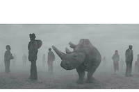 Najin and people in fog, Kenya, 2020_ё Nick Brandt_Courtesy Polka Galerie.
