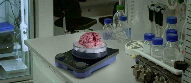 Le film de Jean-Stephane Bron presente les capacites etonnantes du cerveau: un organe d'un kilo et demi mais qui recele plus 70 milliards de neurones.
