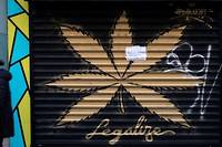 A Marseille, un &quot;appel pour la l&eacute;galisation du cannabis&quot;