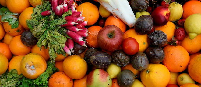 Fruits et legumes issus de l'agiculture bio.
