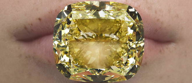 La maison Dior a acquis un diamant jaune (Fancy Intense Yellow) d'un poids de 88,88 carats, baptise Le Montaigne. Le diamant a ete extrait d'un diamant brut de 150 carats qui avait ete decouvert dans la mine historique de Kimberley, en Afrique du Sud, exactement 150 ans apres le debut de son exploitation.


