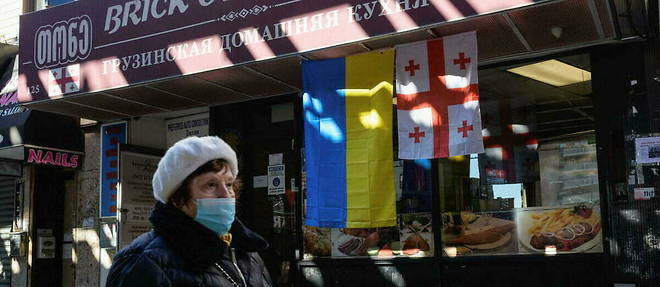 Drapeaux ukrainien et georgien sur la vitrine d'un magasin a Brighton Beach, quartier de Brooklyn connu sous le nom de Little Odessa, le 11 mars 2022.
