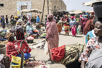 Crise alimentaire&nbsp;: l&rsquo;Afrique de l&rsquo;Ouest en premi&egrave;re ligne