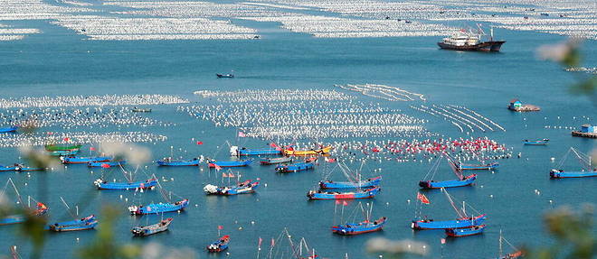 Des pecheurs de Zhoushan, sur une exploitation de moules, le 30 mai 2021 (photo d'illustration).
