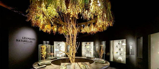 Apres le succes de son exposition sur les poisons (Venenum) en 2018, le musee des Confluences propose aujourd'hui une nouvelle exposition sur la magie, coproduite avec le Museum d'histoire naturelle de Toulouse.

