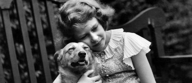 Elizabeth avec l'un de ses corgis, en 1936. Ses chiens ont ete avant tout les compagnons d'une enfance solitaire.
