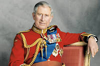 Portrait officiel du prince Charles pour son 60e anniversaire, en 2008.
