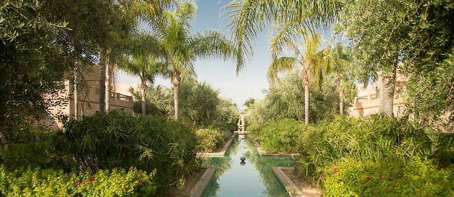 Cocotiers XXL, petits jardins de cactus, bassin de nenuphars et vegetation luxuriante qui bruisse de chants d'oiseaux et de grenouilles participent au cadre preserve du Riad, l'espace haut de gamme du Club Med Marrakech La Palmeraie.
