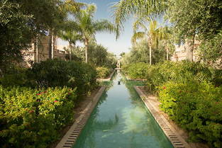 Cocotiers XXL, petits jardins de cactus, bassin de nénuphars et végétation luxuriante qui bruisse de chants d’oiseaux et de grenouilles participent au cadre préservé du Riad, l'espace haut de gamme du Club Med Marrakech La Palmeraie.
