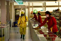 Désinfection et nettoyage dans un grand magasin de Pyongyang, le 18 mars 2022.  
