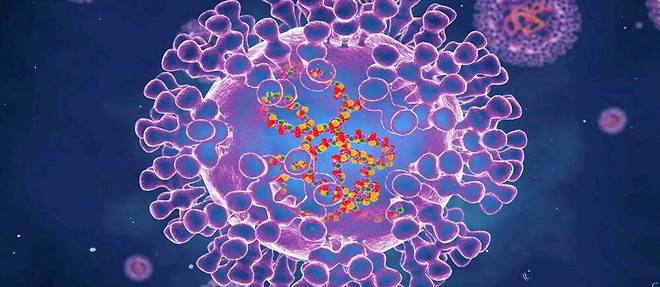 La variole du singe se propage dans le monde (photo d'illustration).
