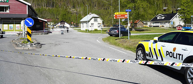 Au moins trois personnes ont ete blessees, dont une grievement, dans une agression ce vendredi dans le sud-est de la Norvege.

