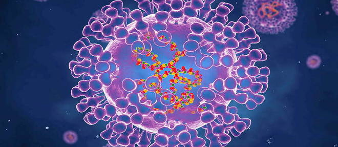 Les Etats-Unis se preparent a vacciner certaines personnes contre la variole du singe.
