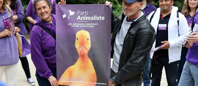 Legislatives: Baffie et "une tete de canard" pour defendre le Parti animaliste