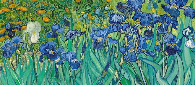  << Iris >>, tableau peint par Vincent Van Gogh en mai 1889, a Saint-Remy-de-Provence.  