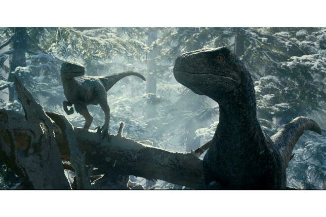 Les Velociraptors Beta et sa maman Blue dans <em>Jurassic World : le monde d'après</em>, coécrit et réalisé par Colin Trevorrow.
 ©  Universal Pictures and Amblin Entertainment