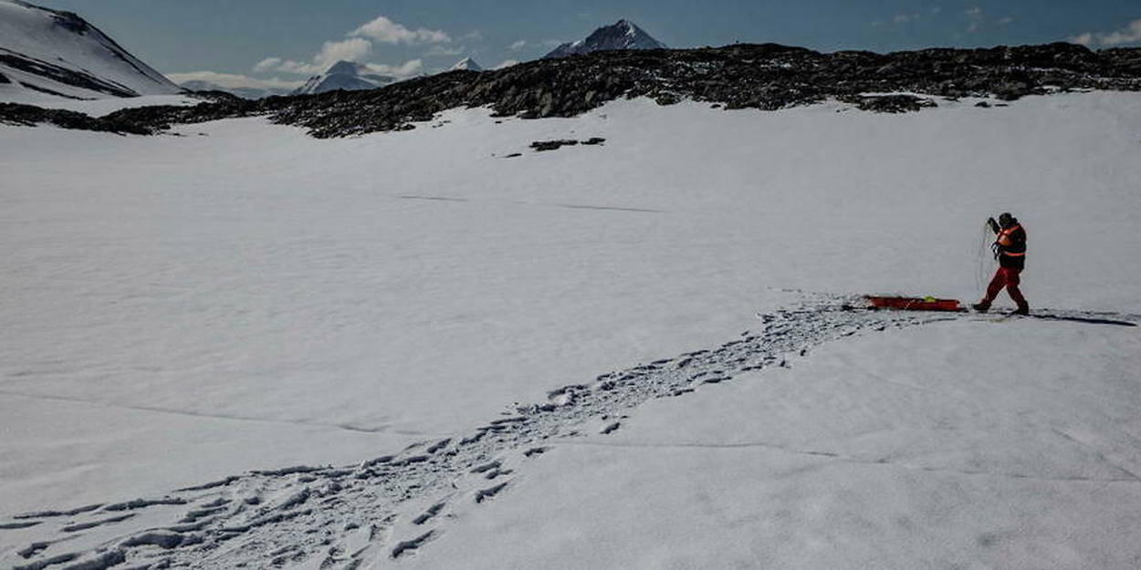 L'écosystème de l'Antarctique menacé par un moucheron - Sciences