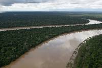 Disparus en Amazonie: confusion dans l'attente de r&eacute;sultats d'expertise