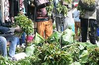 Kenya: les producteurs de khat guettent une reprise des exportations vers la Somalie
