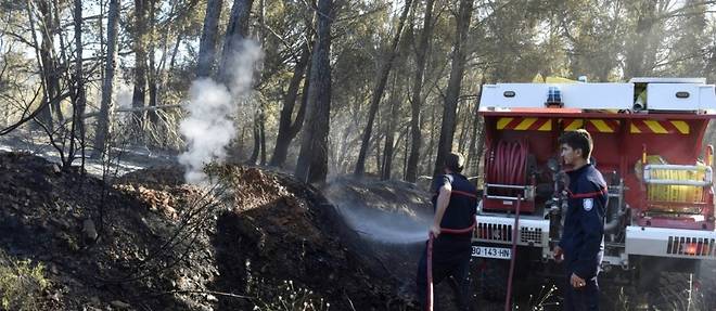 Pyrenees-Orientales: attise par le vent, le feu detruit plus de 1.100 hectares