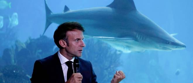 Macron a portee de requins a l'Aquarium de Lisbonne