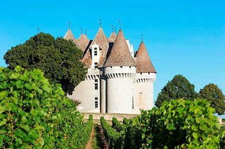  Découvrir le château et les vignes de Monbazillac, sous le ciel de la Dordogne. 