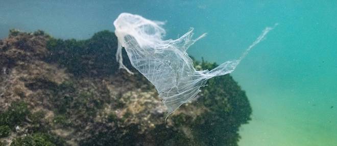 "Ils sont partout": des oceans au corps humain, l'intrusion insidieuse des microplastiques