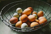 La diversification est une des règles d’or de l’investissement : il vaut mieux parier sur plusieurs placements à la fois et éviter de mettre tous ses œufs dans un même panier.
