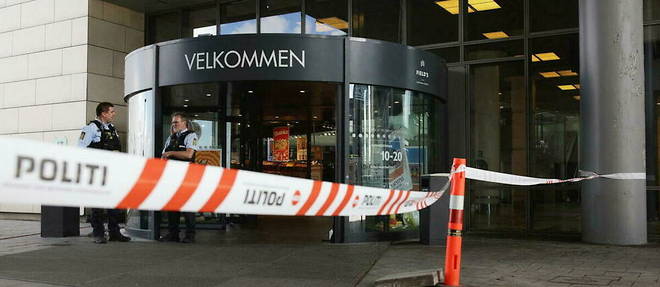 L'attaque, commise avec un fusil, a fait trois morts et 30 blesses dont quatre graves dans un grand centre commercial, Fields, situe entre le centre-ville de Copenhague et l'aeroport. 