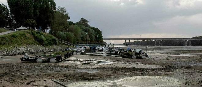 Le gouvernement italien a annoncé le déblocage d'un fonds de 36,5 millions d'euros pour faire face à la sécheresse qui frappe la plaine du Pô depuis plusieurs semaines (image d'illustration).
