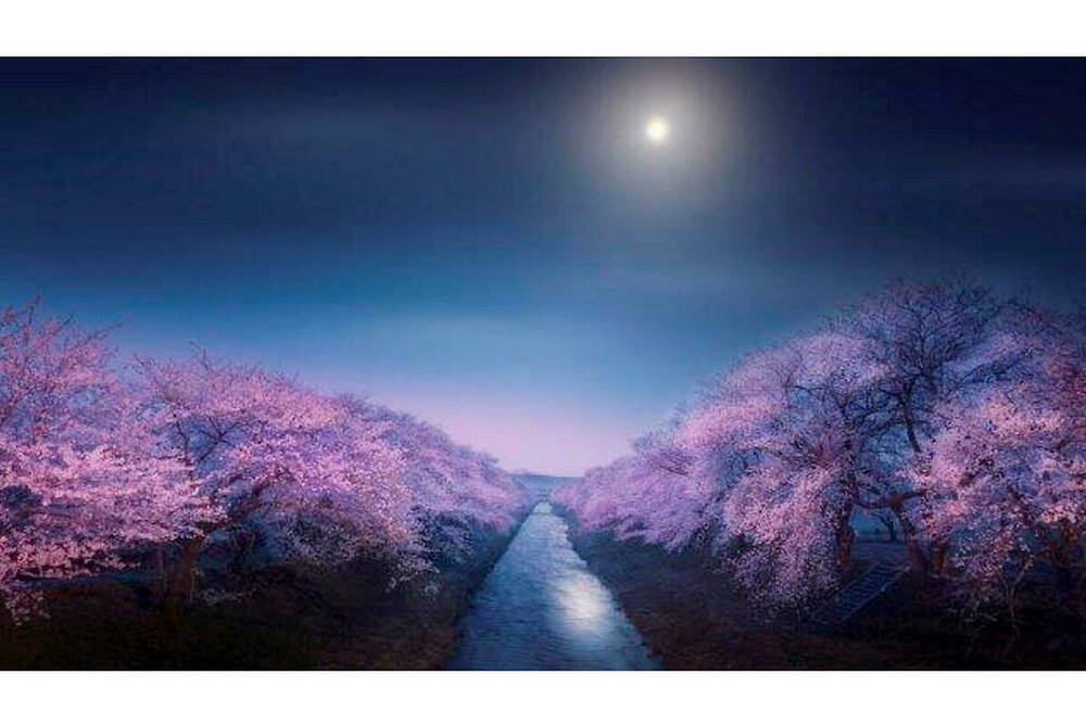 "Riverside of Funakawa in Spring" par Takanobu Kurosaki