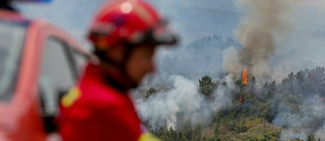Les flammes et la desolation s'emparent a nouveau du Portugal Les flammes et la desolation s'emparent a nouveau du Portugal