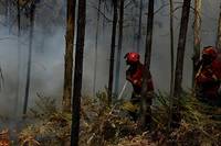 Le sud de l'Europe en proie aux incendies, pic de chaleur dans la p&eacute;ninsule ib&eacute;rique