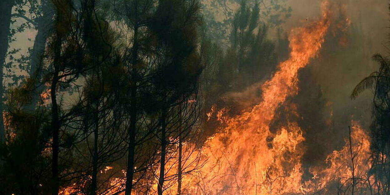 Incendie en Gironde : Plus de 10 terrains de foot brûlent chaque