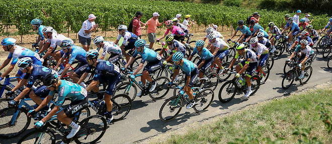Le peloton de coureurs, lors de la 16e etape du Tour de France, 178,5 km entre Carcassonne et Foix, le 19 juillet 2022. 
 
