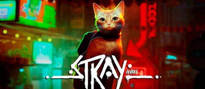 Dans le jeu video Stray, le joueur incarne un matou errant dans un monde postapocalyptique.
