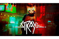 Dans le jeu vidéo  Stray , le joueur incarne un matou errant dans un monde postapocalyptique.
