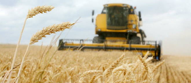 L'Ukraine et la Russie ont signe deux accords separes avec la Turquie et les Nations unies sur l'exportation des cereales et produits agricoles.
