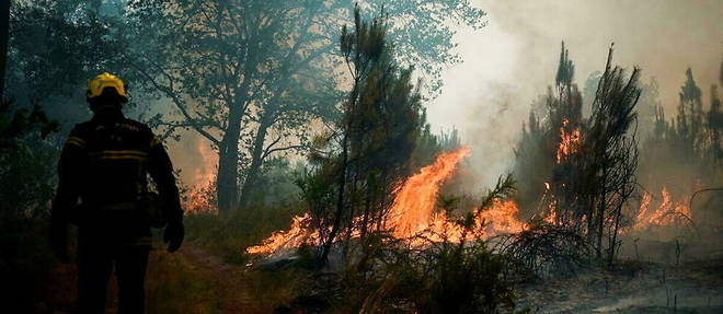 Plus de 13 000 hectares de foret ont ete emportes par l'incendie a Landiras, au sud de Bordeaux
