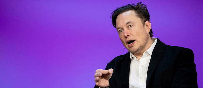 Elon Musk has denied any relationship with the Google boss' ex-wife.