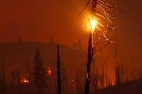 Un incendie g&eacute;ant se propage &agrave; toute allure en Californie