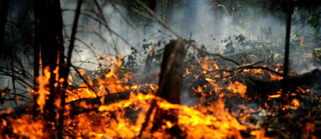 Le << Oak Fire >> en Californie a brule 7 000 hectares de vegetation et continue de s'etendre.
