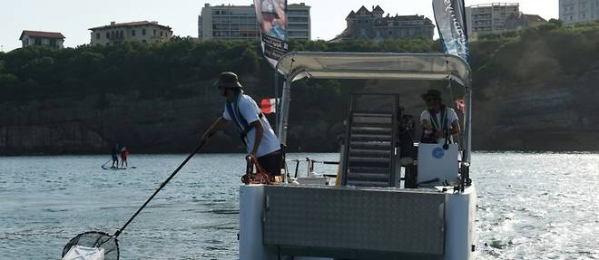 A Biarritz, un bateau a l'oeuvre pour ramasser les dechets plastiques flottants