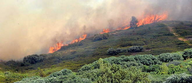 L'homme n'est pas mis en cause dans l'important incendie qui a brule mardi 800 hectares autour de Gignac.
