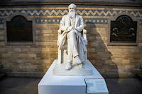 Charles Darwin, statue du musée d'histoire naturelle de Londres.
