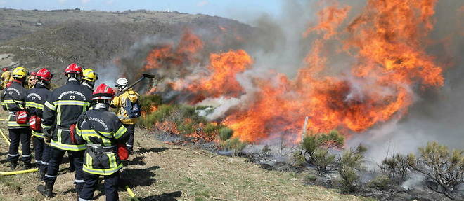 Un important incendie a ravage lundi << au moins 200 hectares >> de maquis sur la commune de Santo-Pietro-di-Tenda en Haute-Corse. (image d'illustration)

