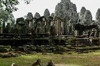 Cambodge: autour d'Angkor, le fragile retour des esp&egrave;ces sauvages menac&eacute;es