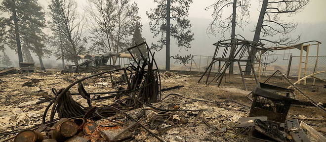 Zone incendiee en Californie par le megafeu McKinney, le 1er aout.  
