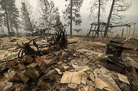 Zone incendiée en Californie par le mégafeu McKinney, le 1 er  août.  
